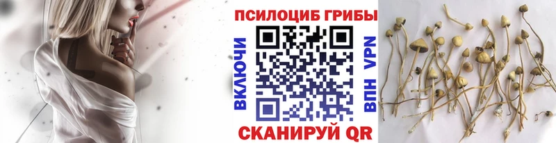Псилоцибиновые грибы GOLDEN TEACHER  Ленск 