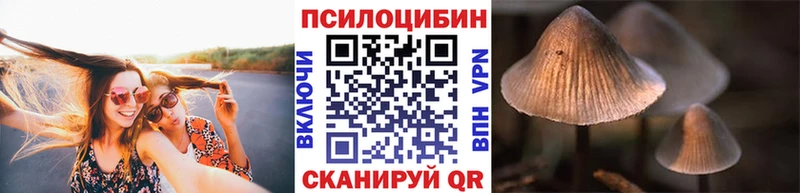 Галлюциногенные грибы MAGIC MUSHROOMS Ленск